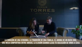 Viñedo Torres