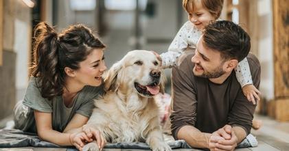 Casting familias con perro o gato para spot con mascotas