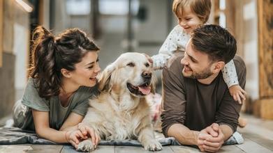 Casting familias con perro o gato para spot con mascotas